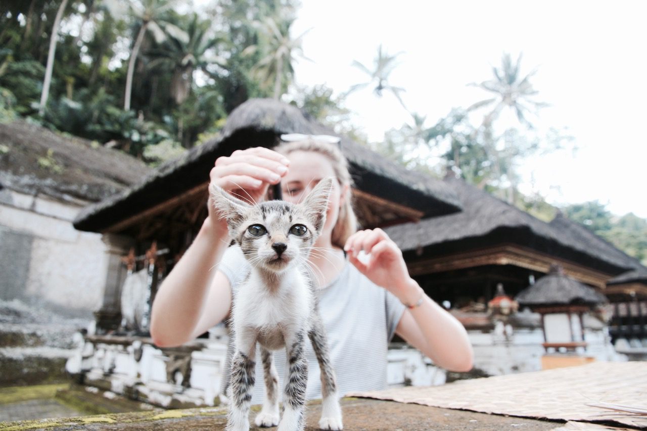 23 things to know before you visit bali