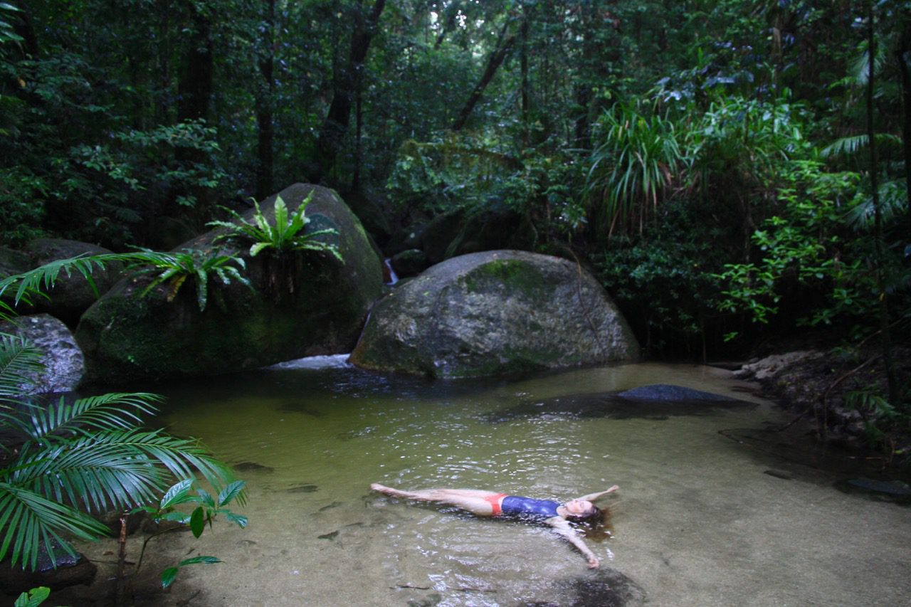 Must-know tips for exploring the Mossman Gorge 